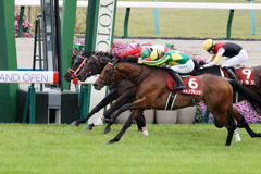 京都競馬場にて