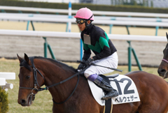 京都競馬場にて　武豊騎手