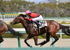 阪神競馬場にて　武豊騎手