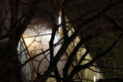 夜景　マンションにて