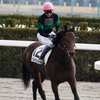 京都競馬場にて　武豊騎手