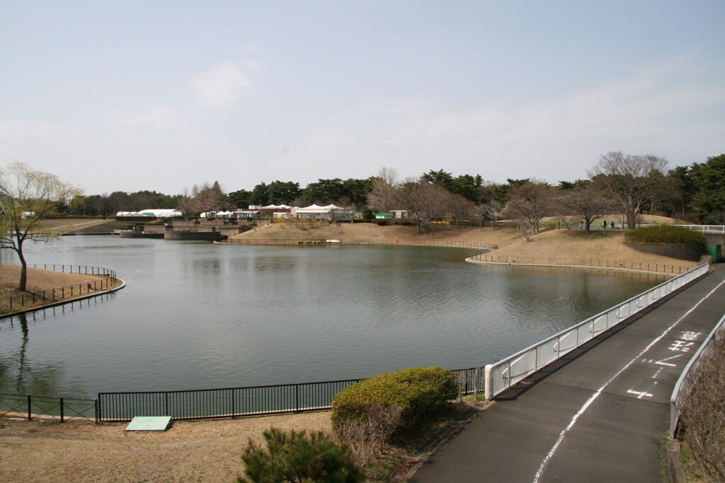 ひたち海浜公園の西池