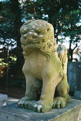 堀出神社の狛犬