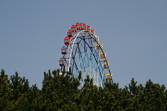 ひたち海浜公園の観覧車