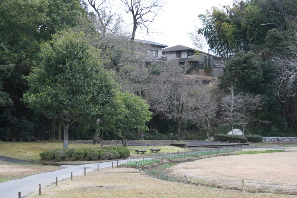 千波湖沿いの広場