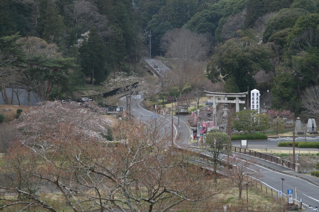 好文亭からの景色