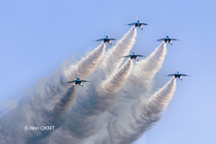 クリスマスツリー