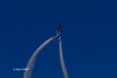 ブルーインパルス、百里基地航空祭
