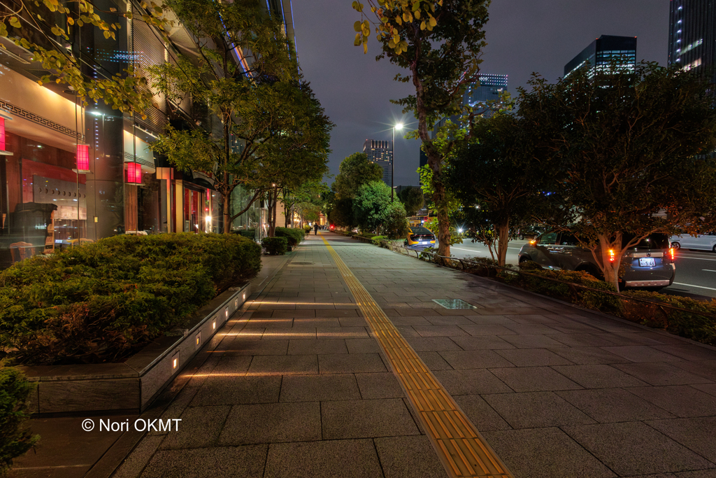 夜の歩道
