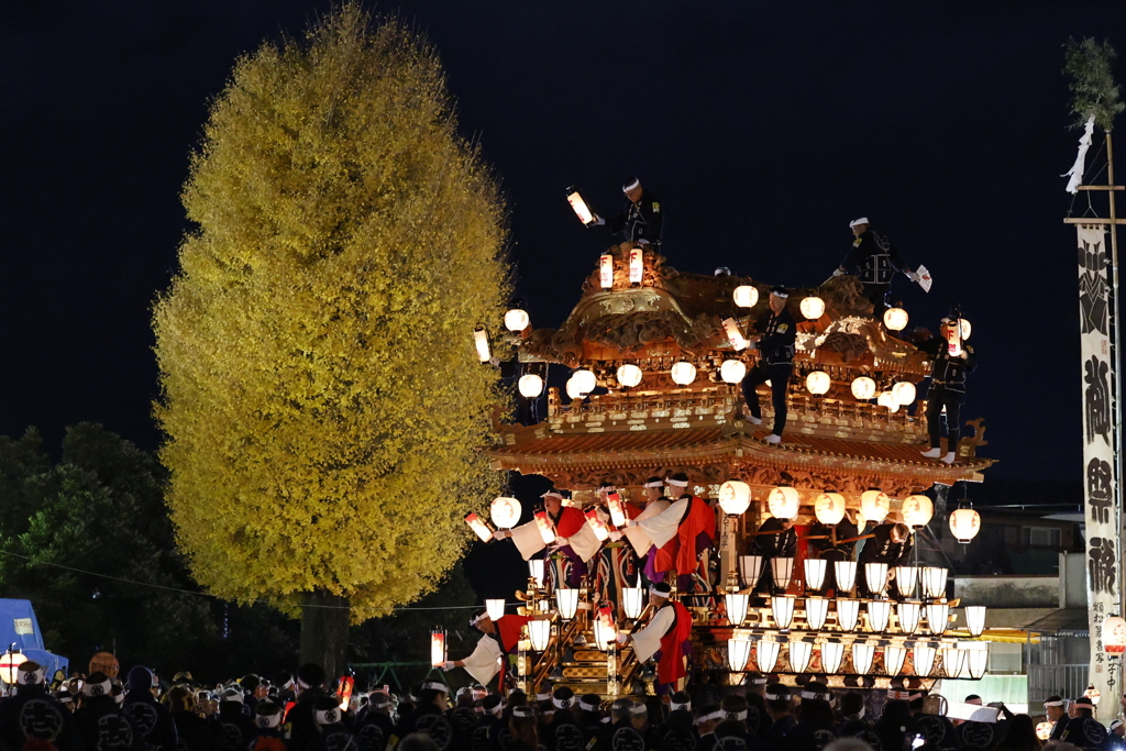 秩父夜祭り、下郷屋台と大銀杏