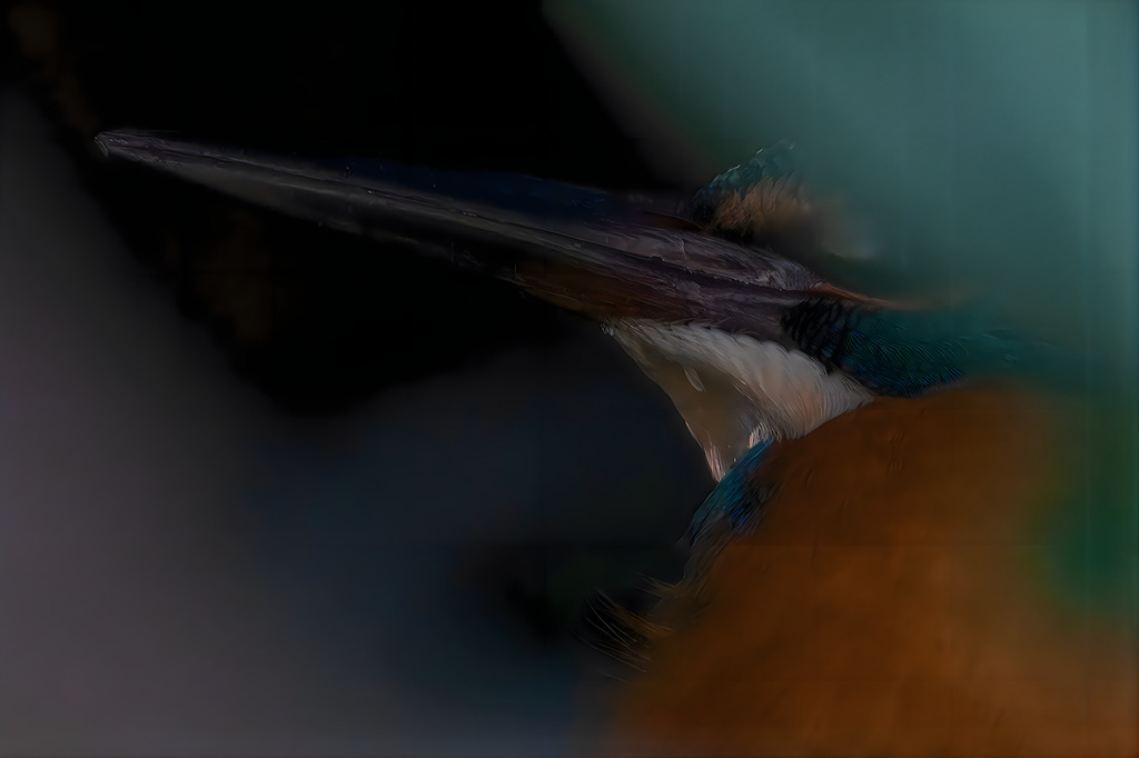 カワセミ　森の中から