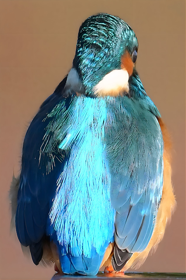 朝陽を浴びた　キラメキ