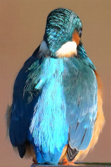 朝陽を浴びた　キラメキ