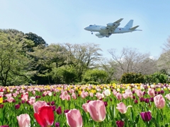春の空