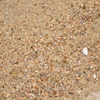 サンシャインサザンセト砂浜