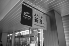新潟駅お散歩