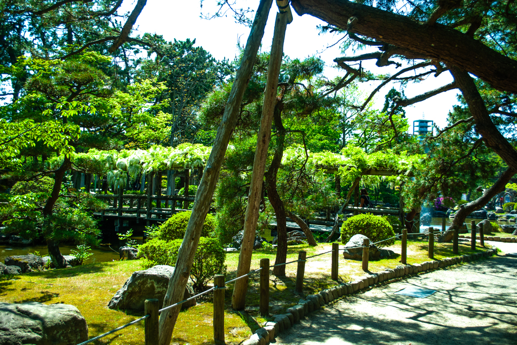 白山神社