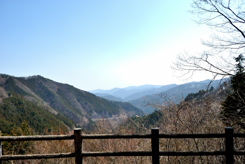 都民の森