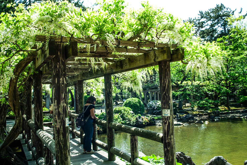 白山神社