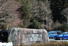 都民の森