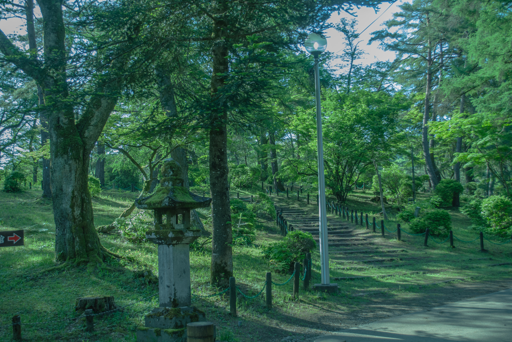 悠久山公園