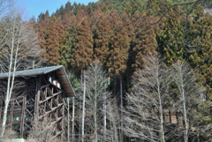 都民の森