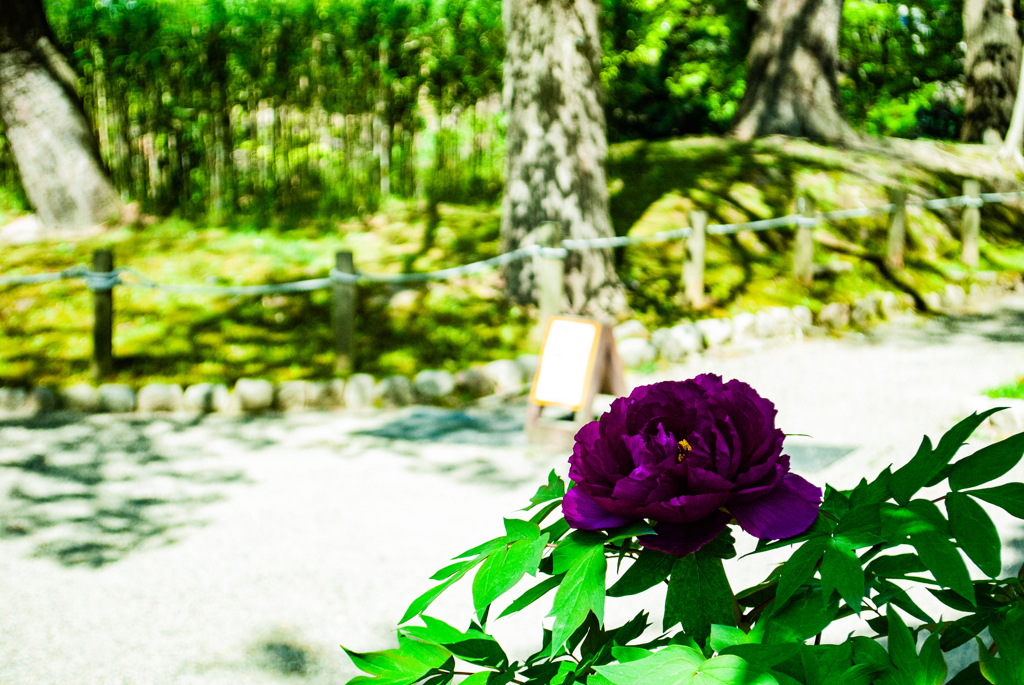 白山神社