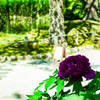 白山神社