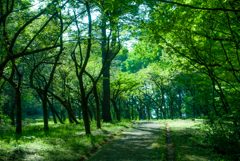 悠久山公園