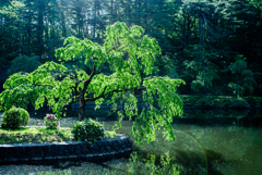 悠久山公園