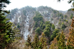 都民の森