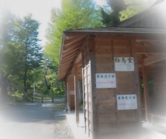悠久山公園
