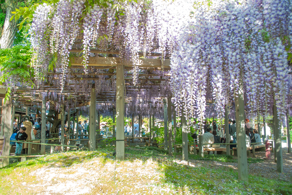 北方文化博物館 