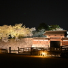 城跡の夜桜