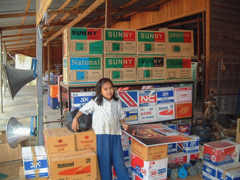 Electrical appliance store in Siem Reap