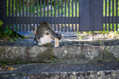 Intrusion