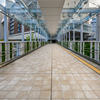 Skybridge