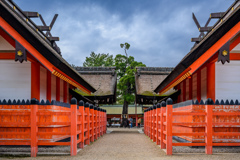 Symmetry