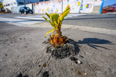 Power of nature