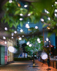 Illuminated street