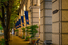 Kobe at night