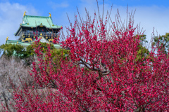 With Osaka Castle