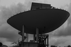 Dish