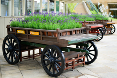 Wagons