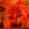 Rose Wind