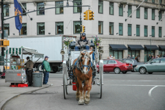 Central Park Carriage