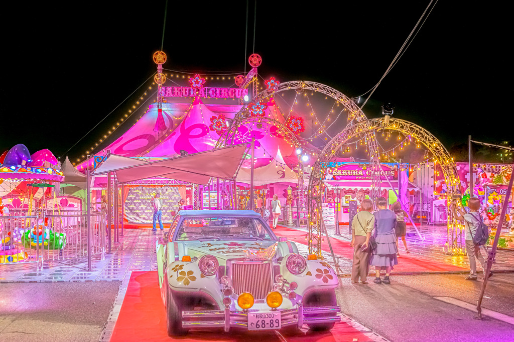 Night at the Circus