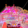 Night at the Circus