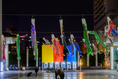 Carp streamers