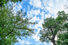 Blue sky and clouds